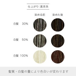 画像2: 【ナイアード】No.4　へナ＋木藍（黒茶）　100g